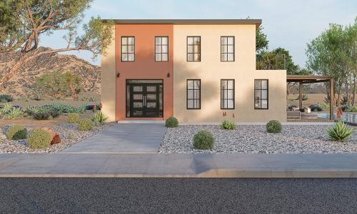 desert ironwood Main 01